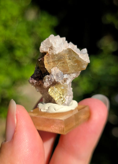 Apatite jaune du Mexique