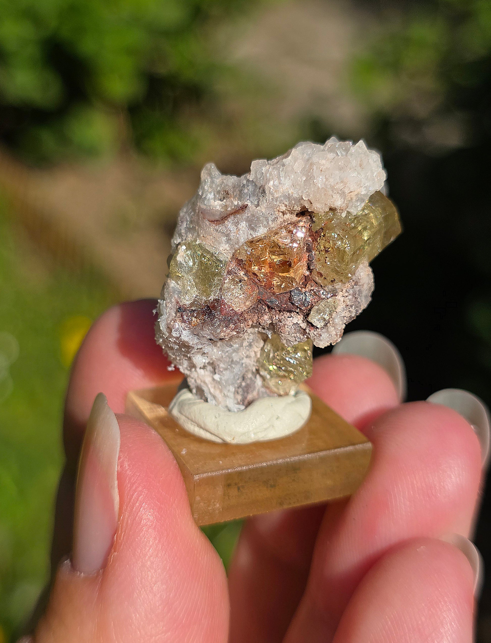 Apatite jaune du Mexique