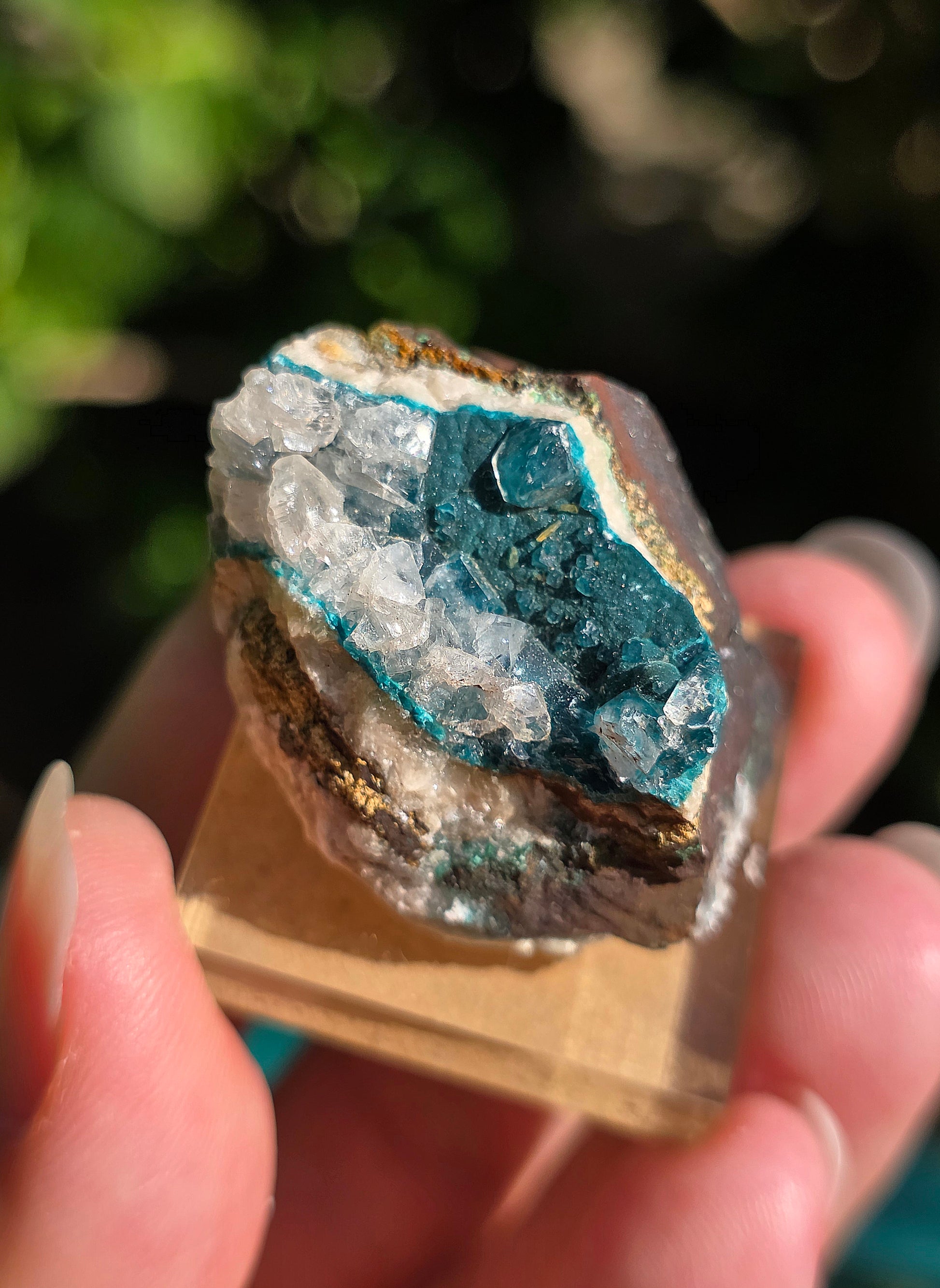 Rosasite du Mexique