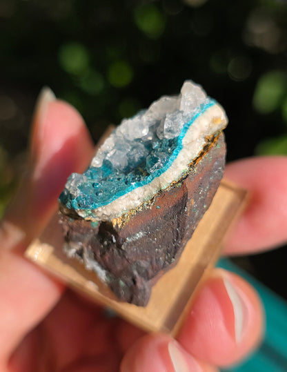 Rosasite du Mexique
