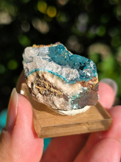 Rosasite du Mexique