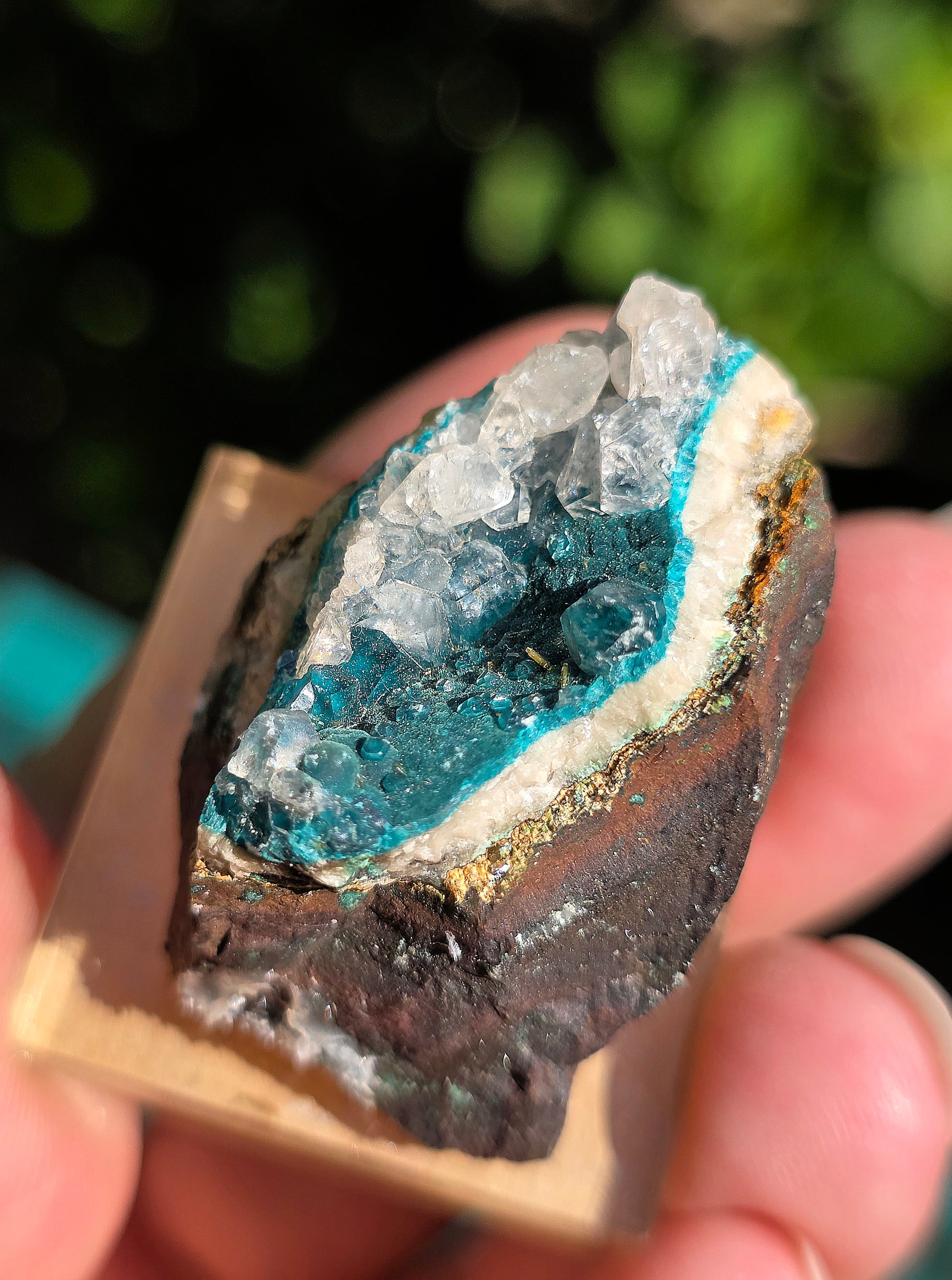 Rosasite du Mexique
