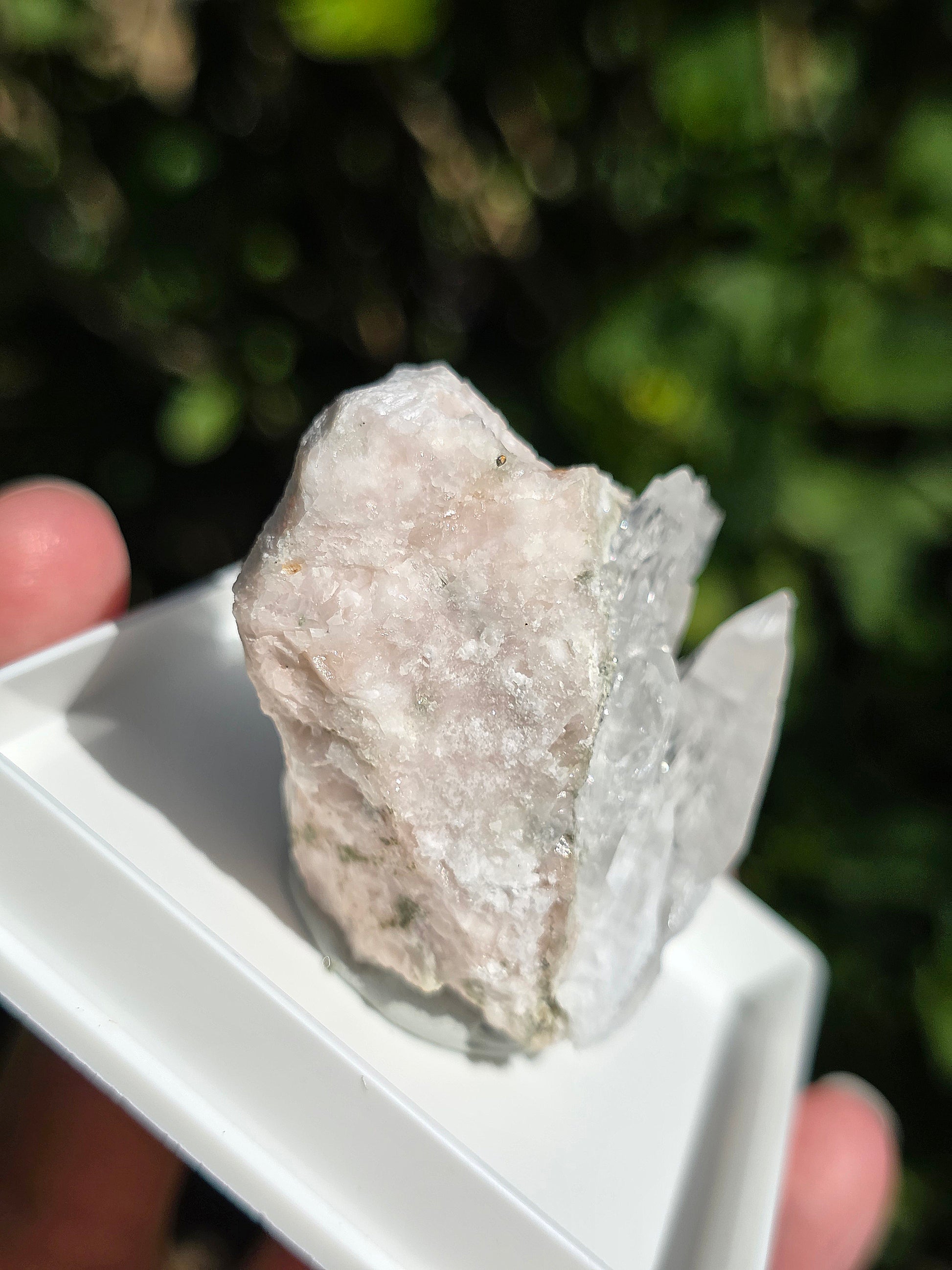 Gypse brut d'Ariège France