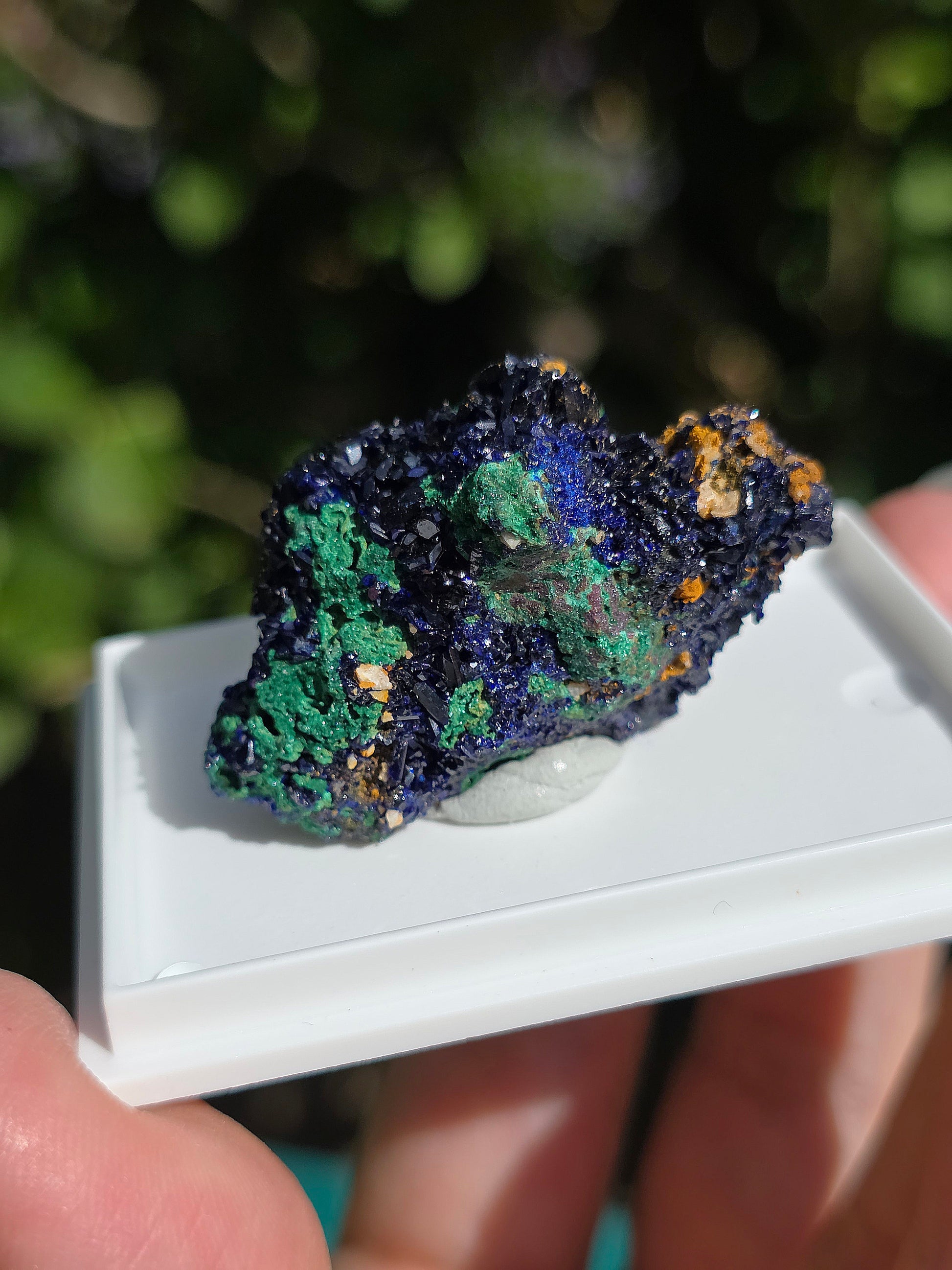 Azurite avec Malachite du Maroc