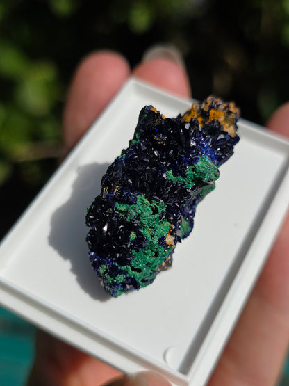 Azurite avec Malachite du Maroc