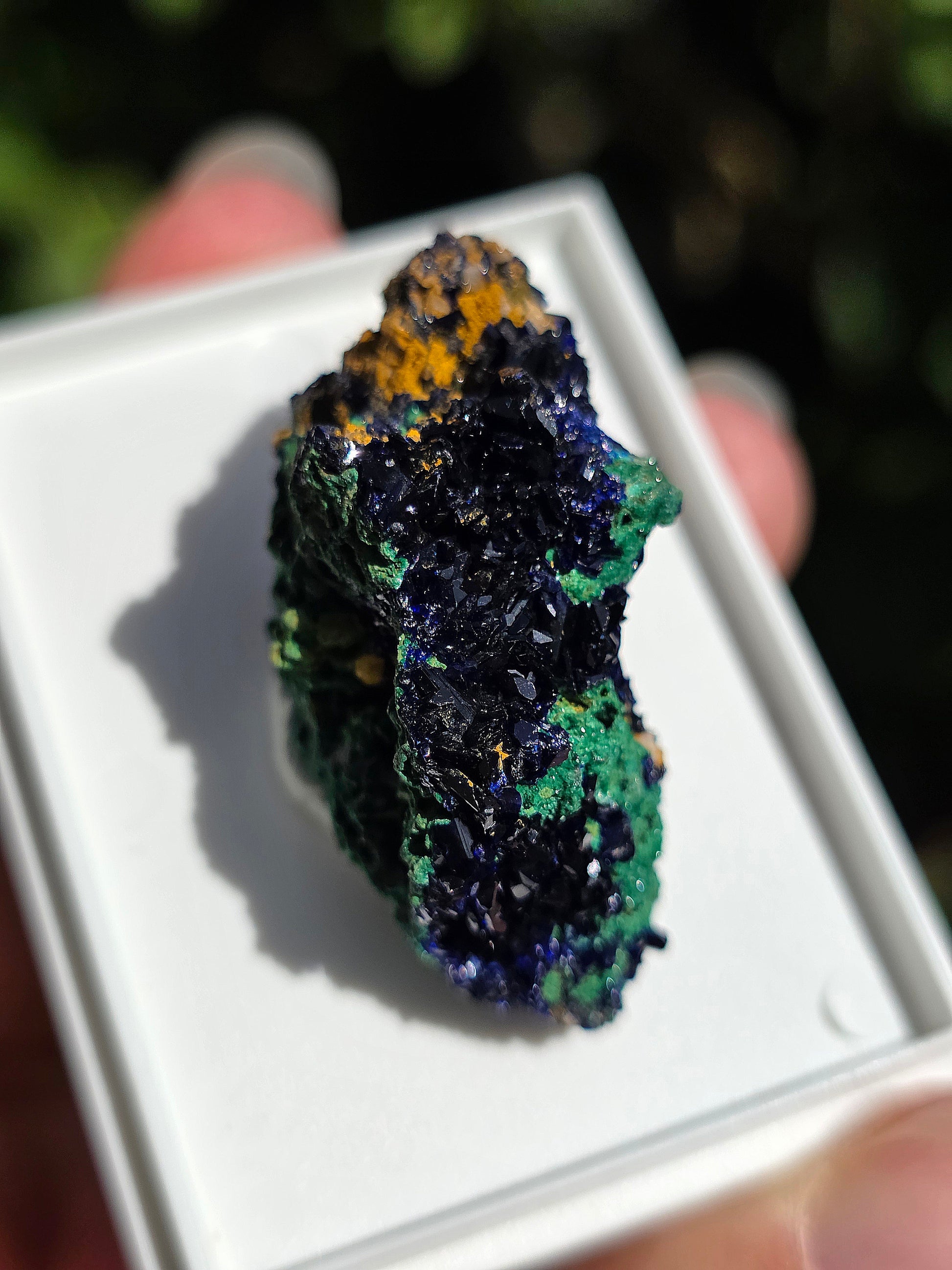 Azurite avec Malachite du Maroc