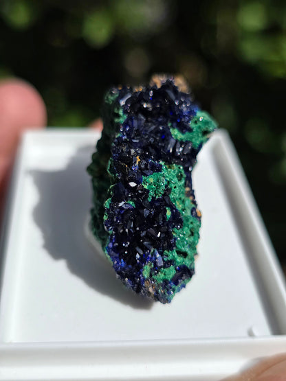 Azurite avec Malachite du Maroc