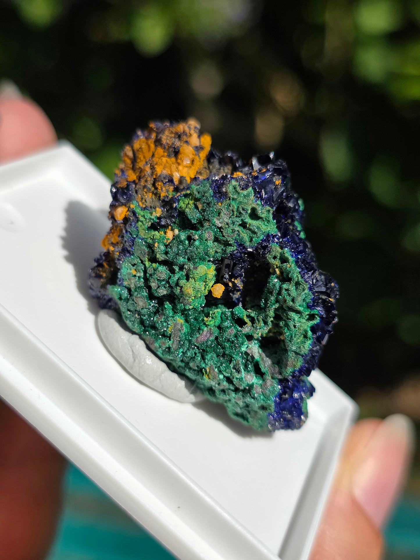 Azurite avec Malachite du Maroc