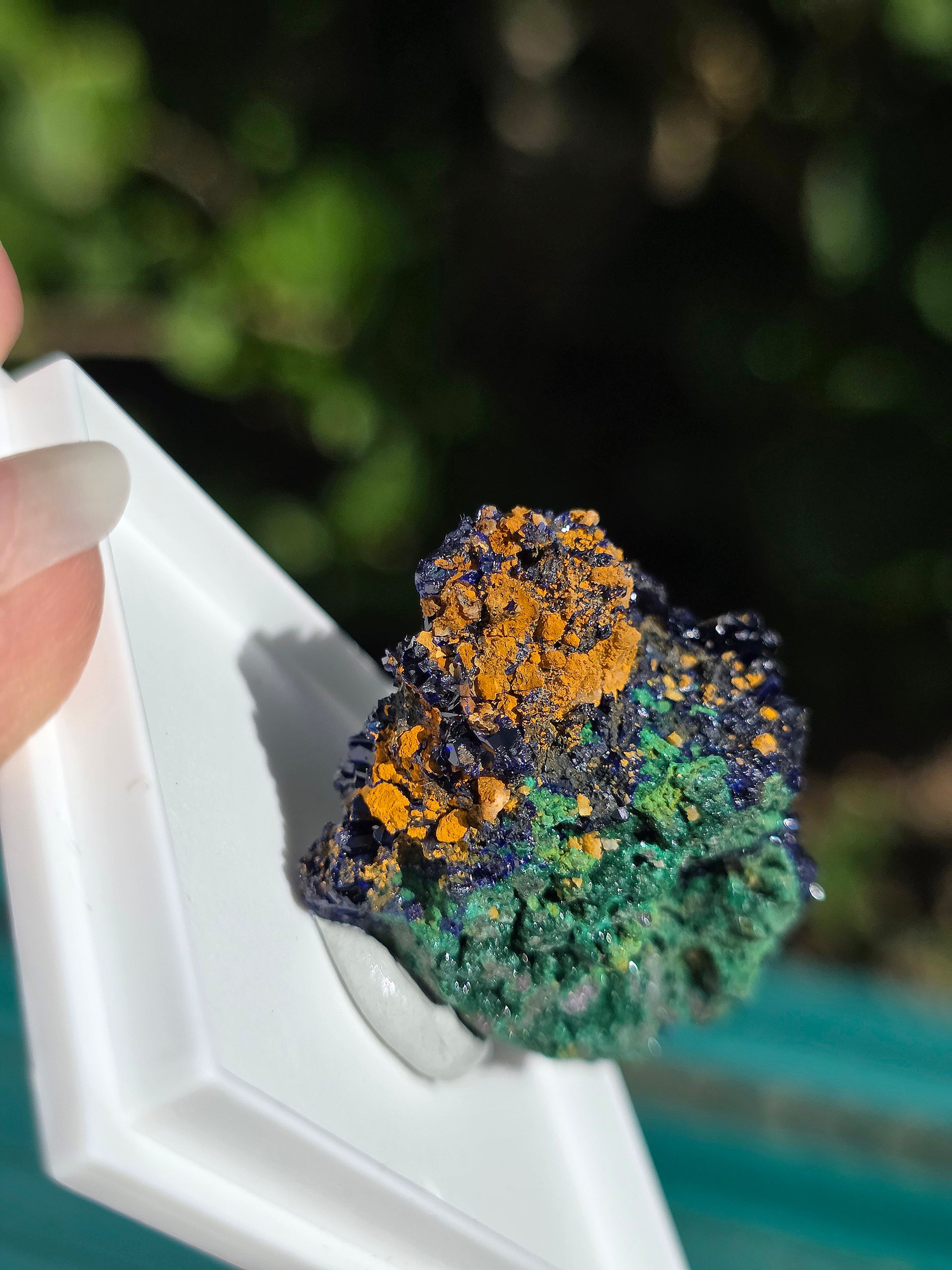 Azurite avec Malachite du Maroc