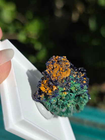 Azurite avec Malachite du Maroc