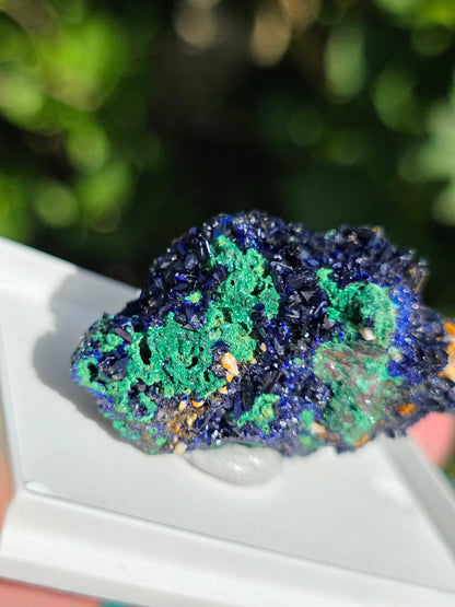 Azurite avec Malachite du Maroc