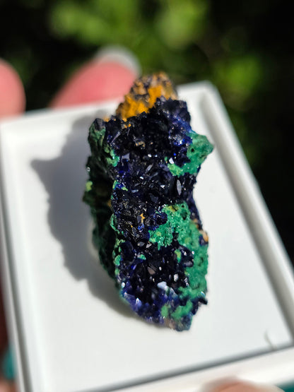 Azurite avec Malachite du Maroc