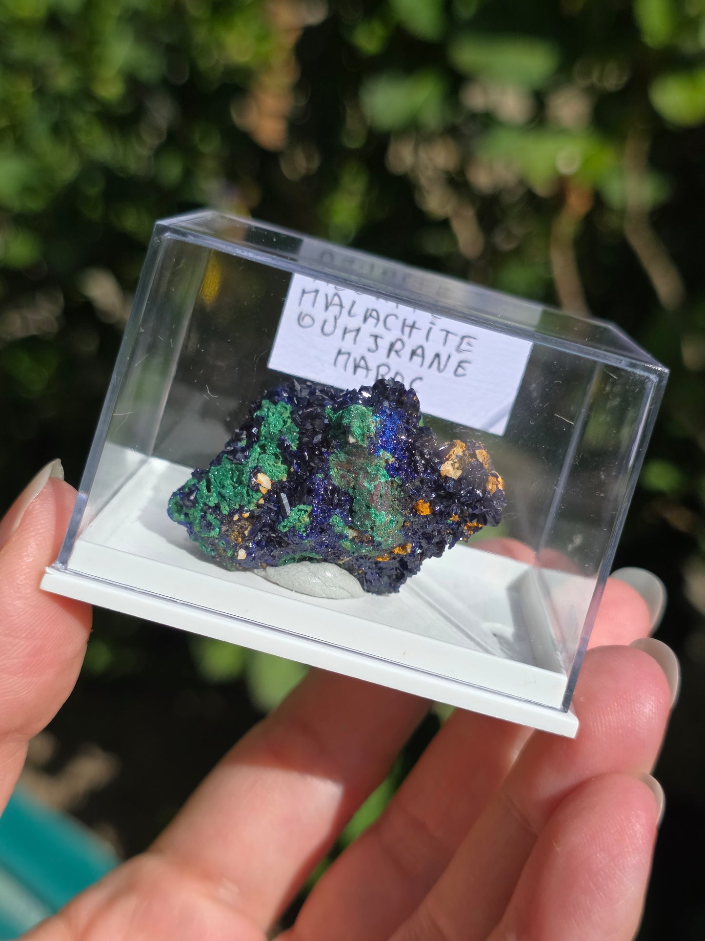 Azurite avec Malachite du Maroc