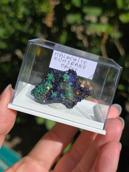 Azurite avec Malachite du Maroc