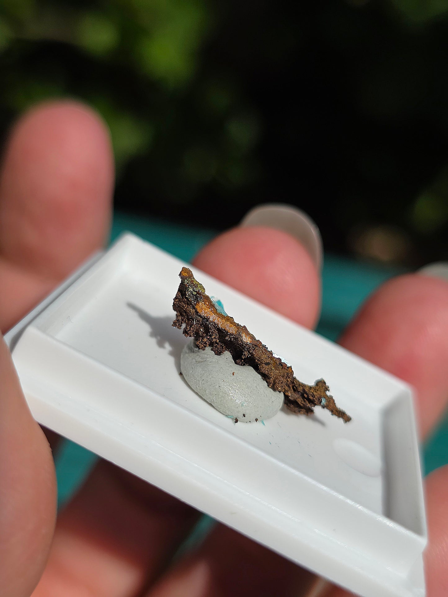 Aurichalcite brute sur une gangue de Limonite