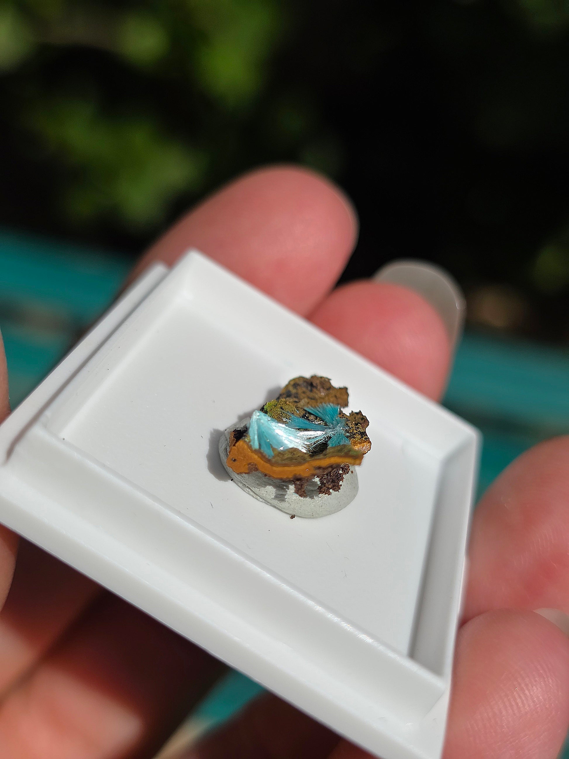 Aurichalcite brute sur une gangue de Limonite