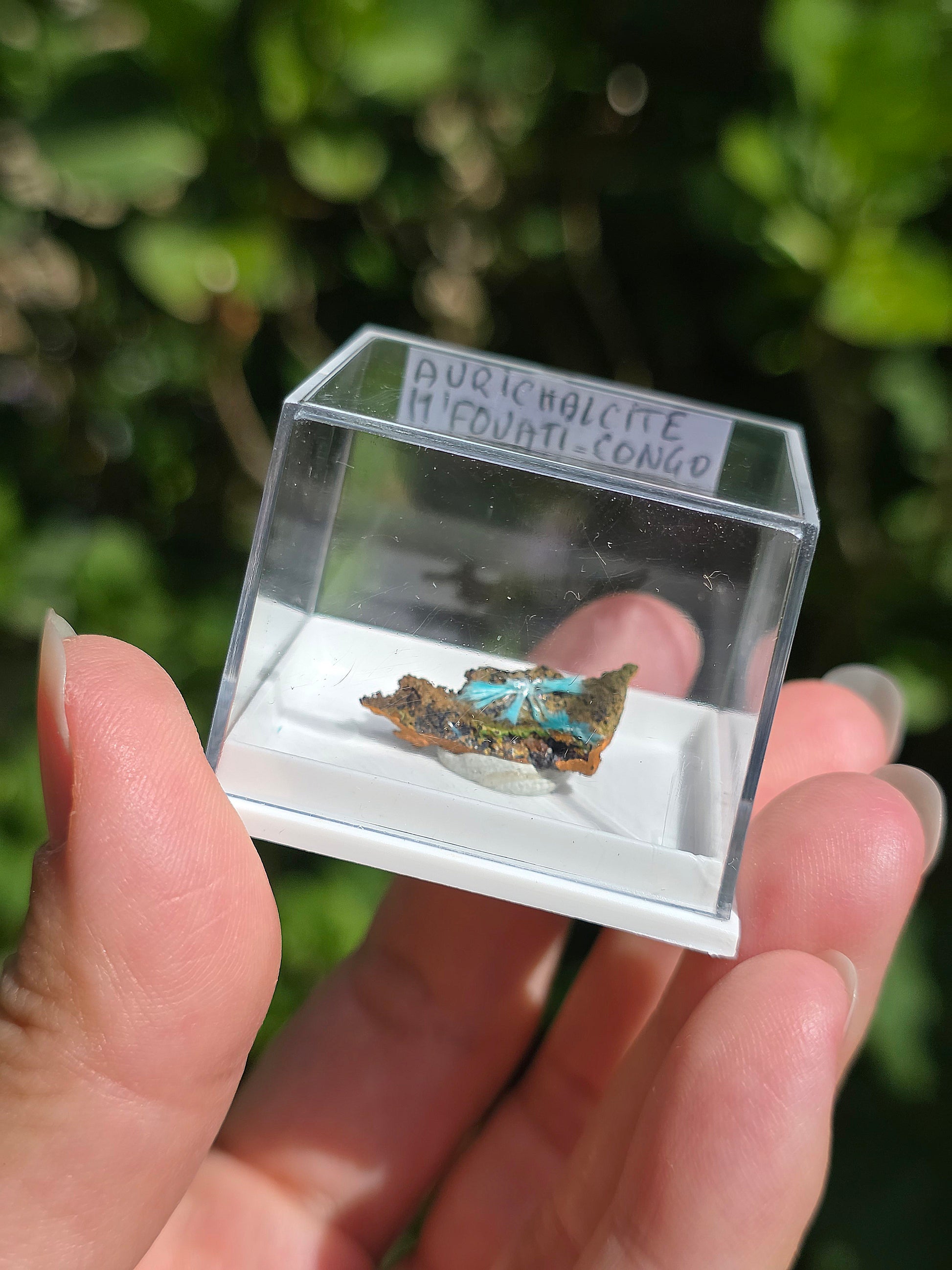 Aurichalcite brute sur une gangue de Limonite