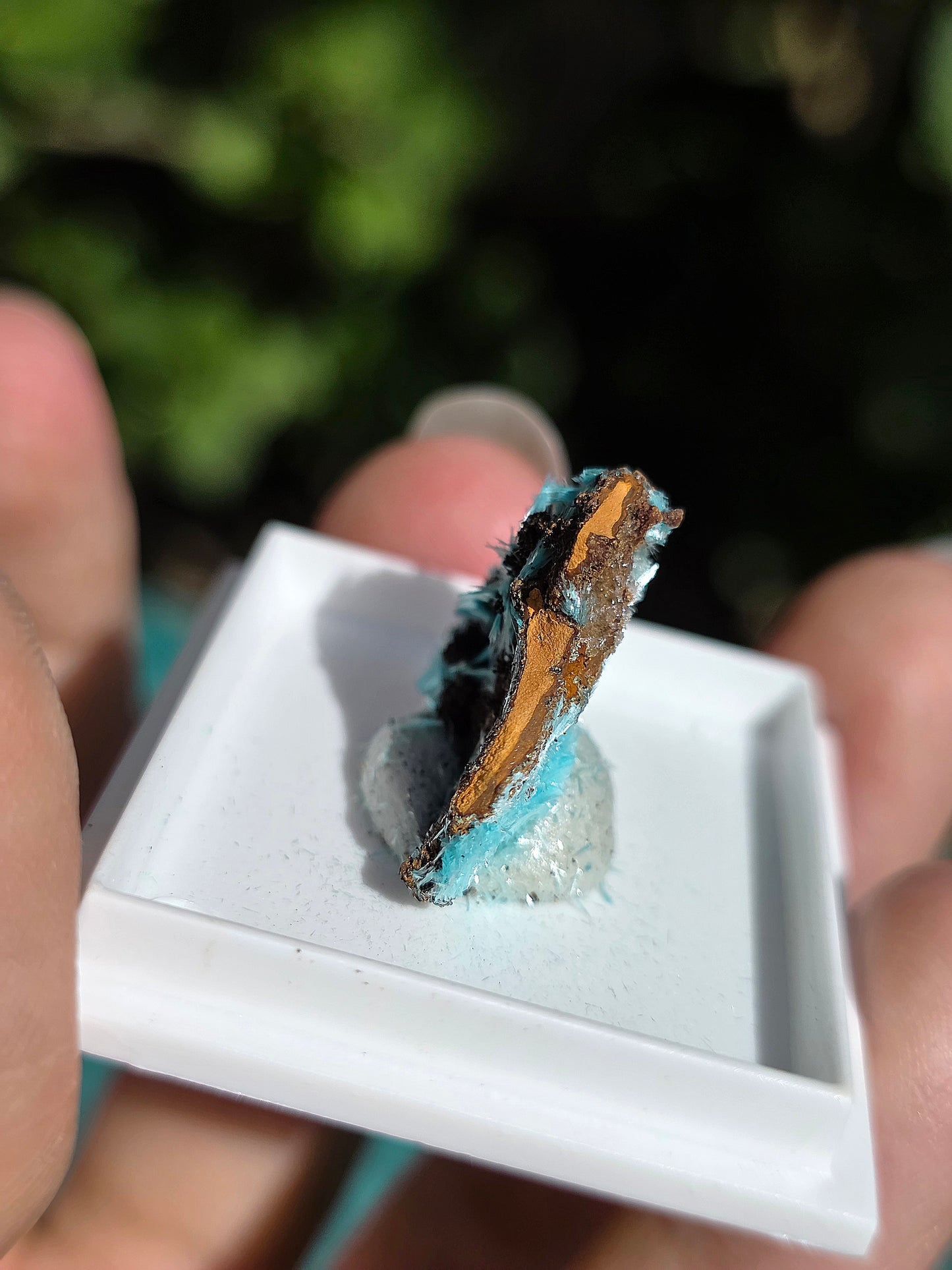 Aurichalcite brute sur une gangue de Limonite