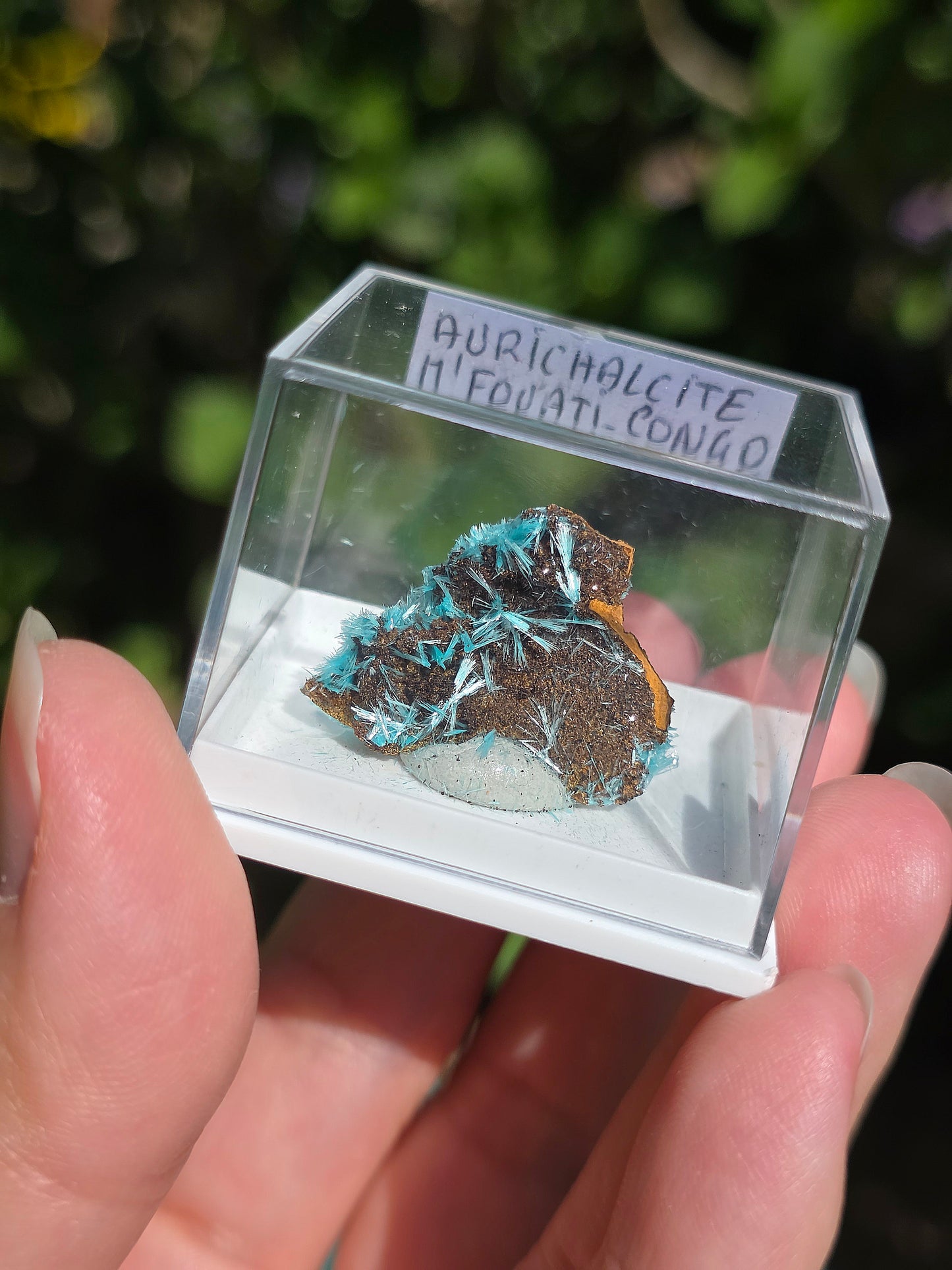 Aurichalcite brute sur une gangue de Limonite