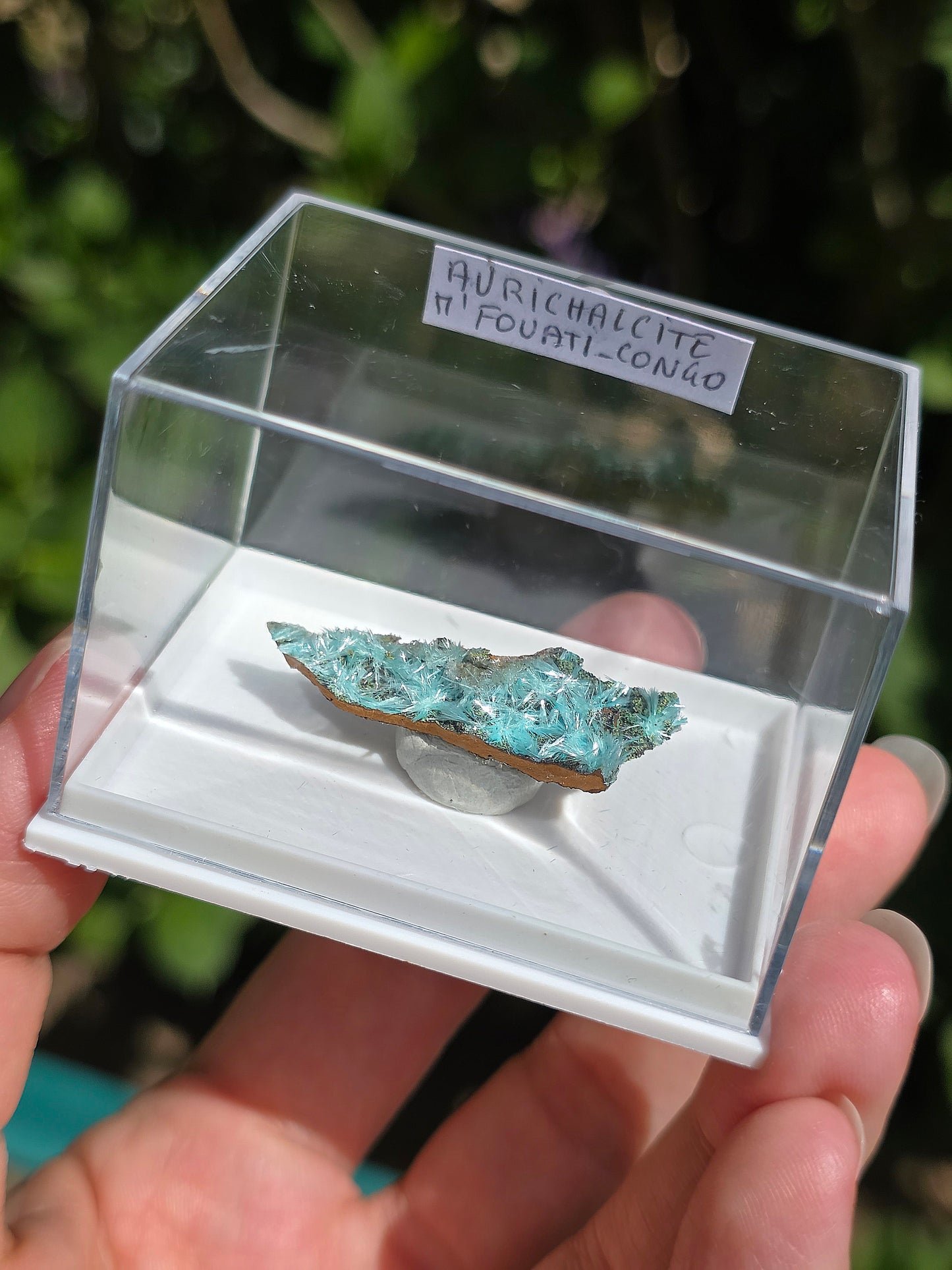 Aurichalcite brute sur une gangue de Limonite 