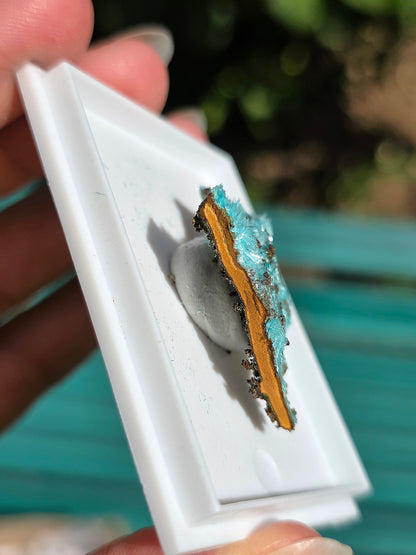 Aurichalcite brute sur une gangue de Limonite