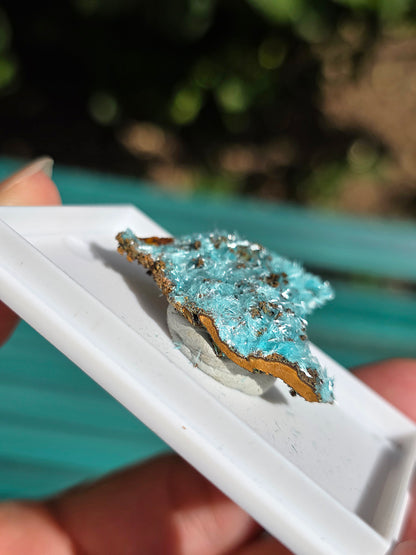 Aurichalcite brute sur une gangue de Limonite