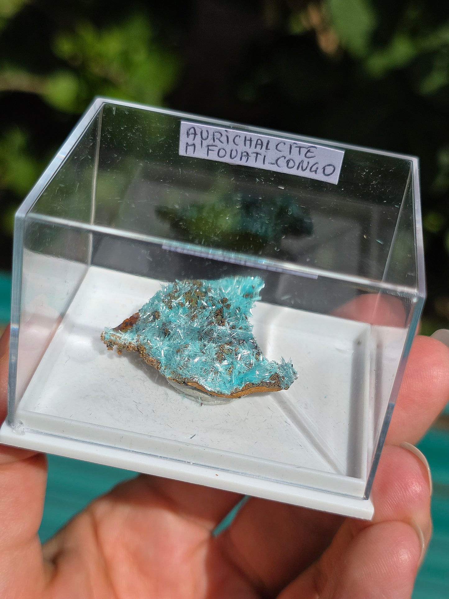 Aurichalcite brute sur une gangue de Limonite