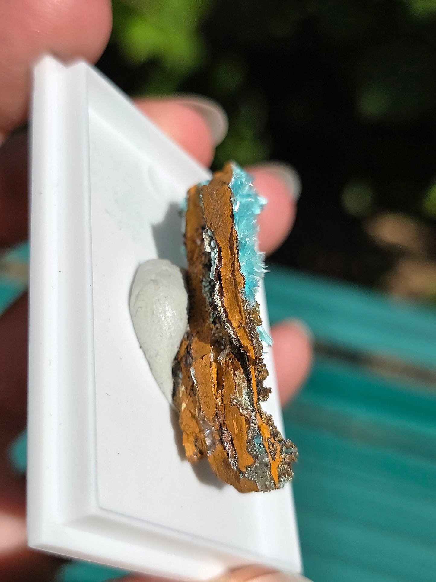 Aurichalcite brute sur une gangue de Limonite