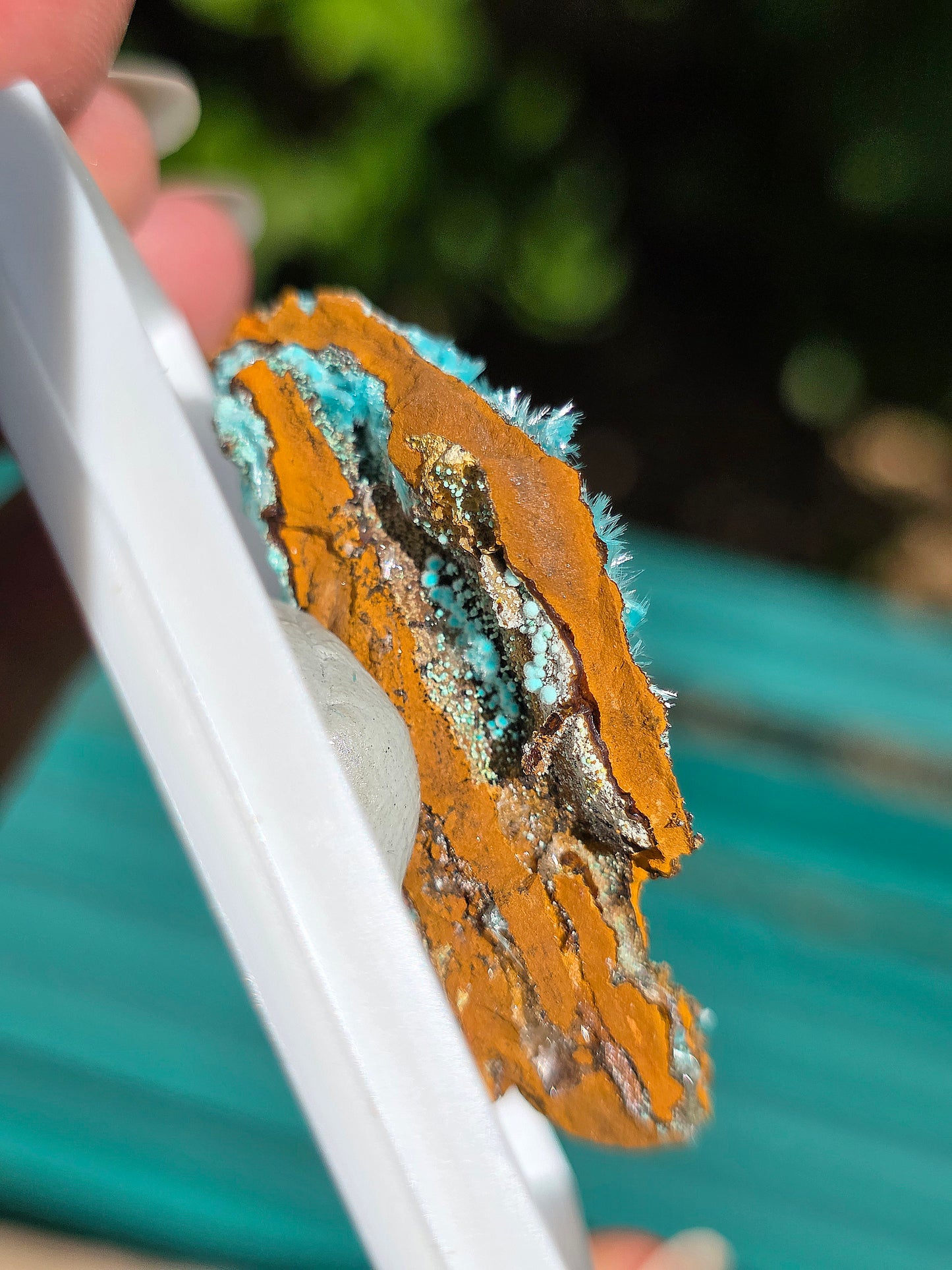 Aurichalcite brute sur une gangue de Limonite