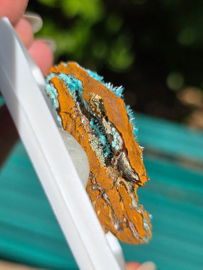 Aurichalcite brute sur une gangue de Limonite