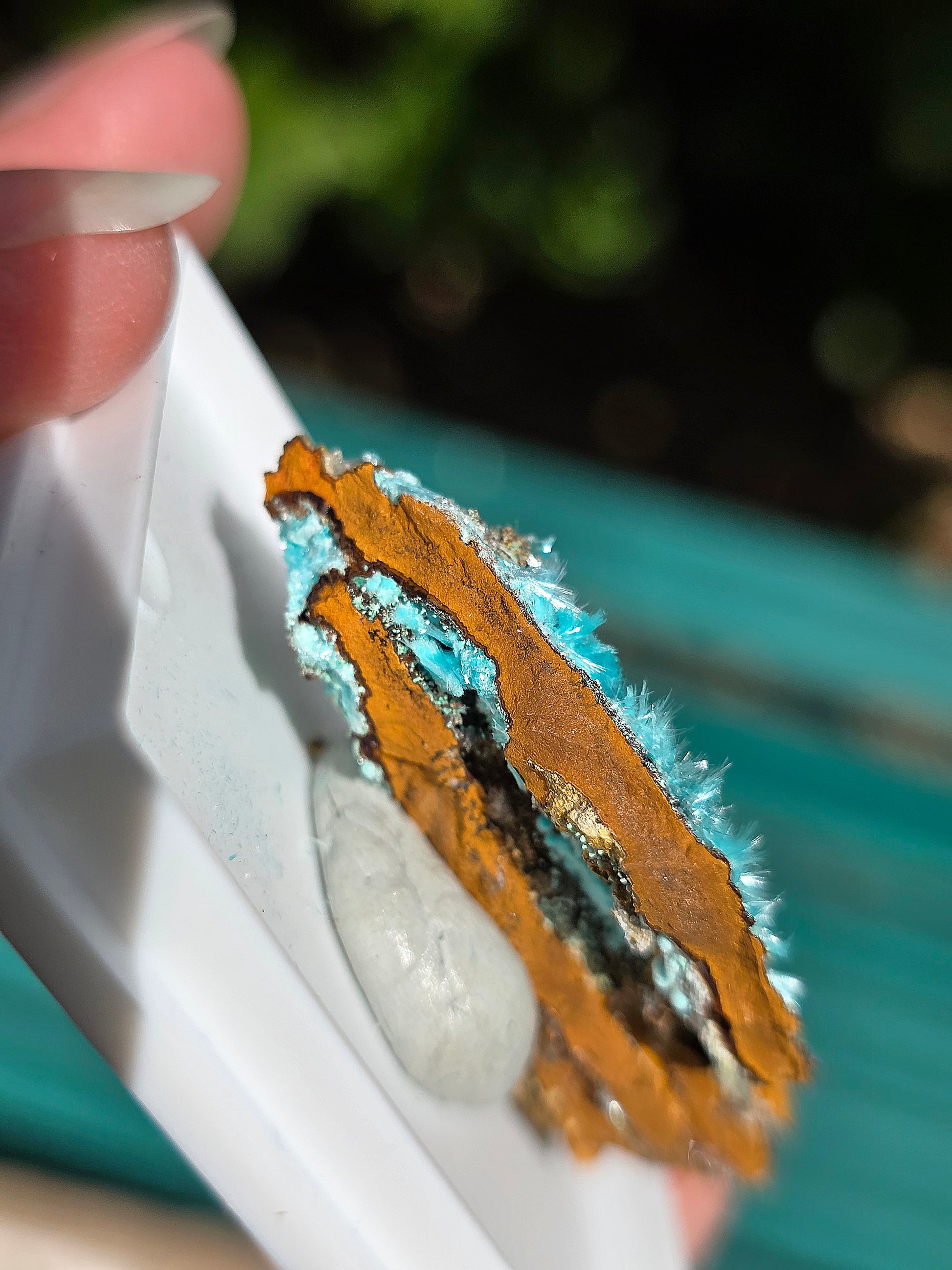 Aurichalcite brute sur une gangue de Limonite