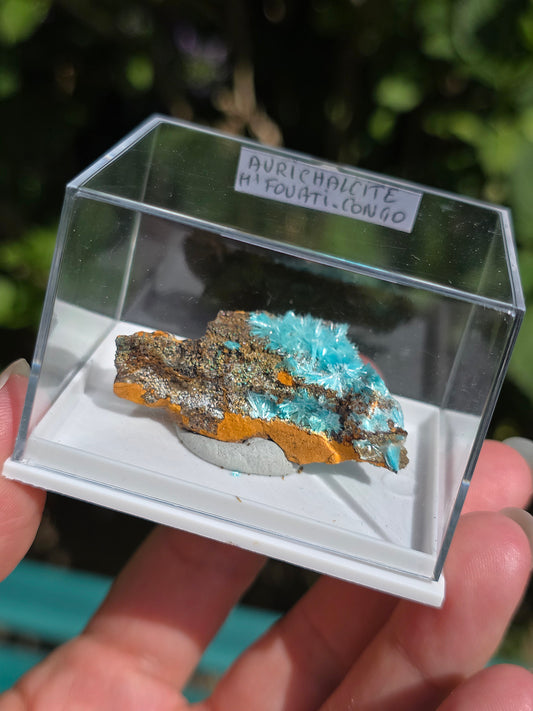 Aurichalcite brute sur une gangue de Limonite