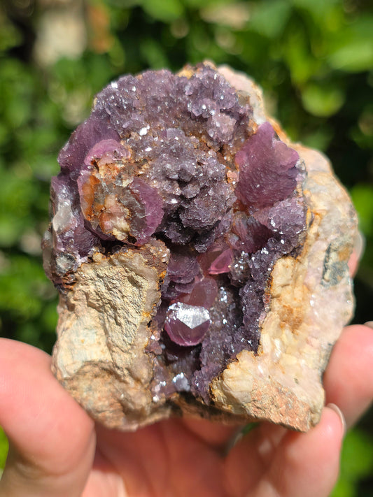 Géode Cobaltocalcite du Maroc