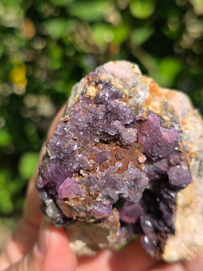 Géode Cobaltocalcite du Maroc