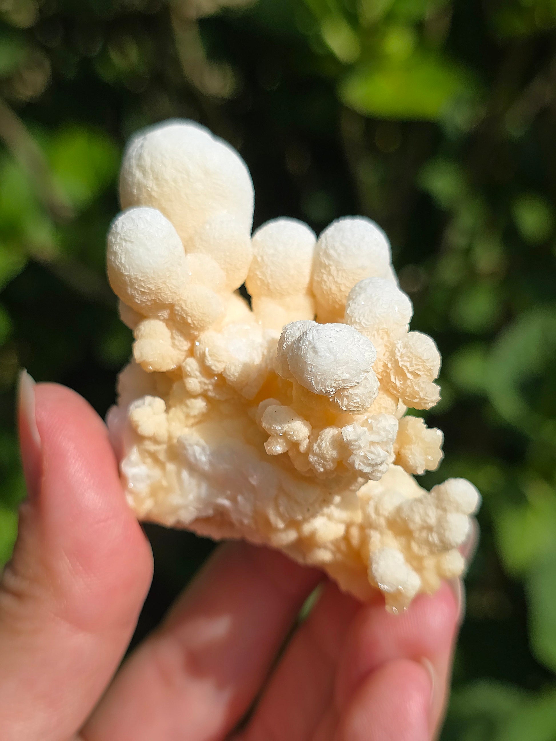 Aragonite botryoïdale cristallisée du Maroc