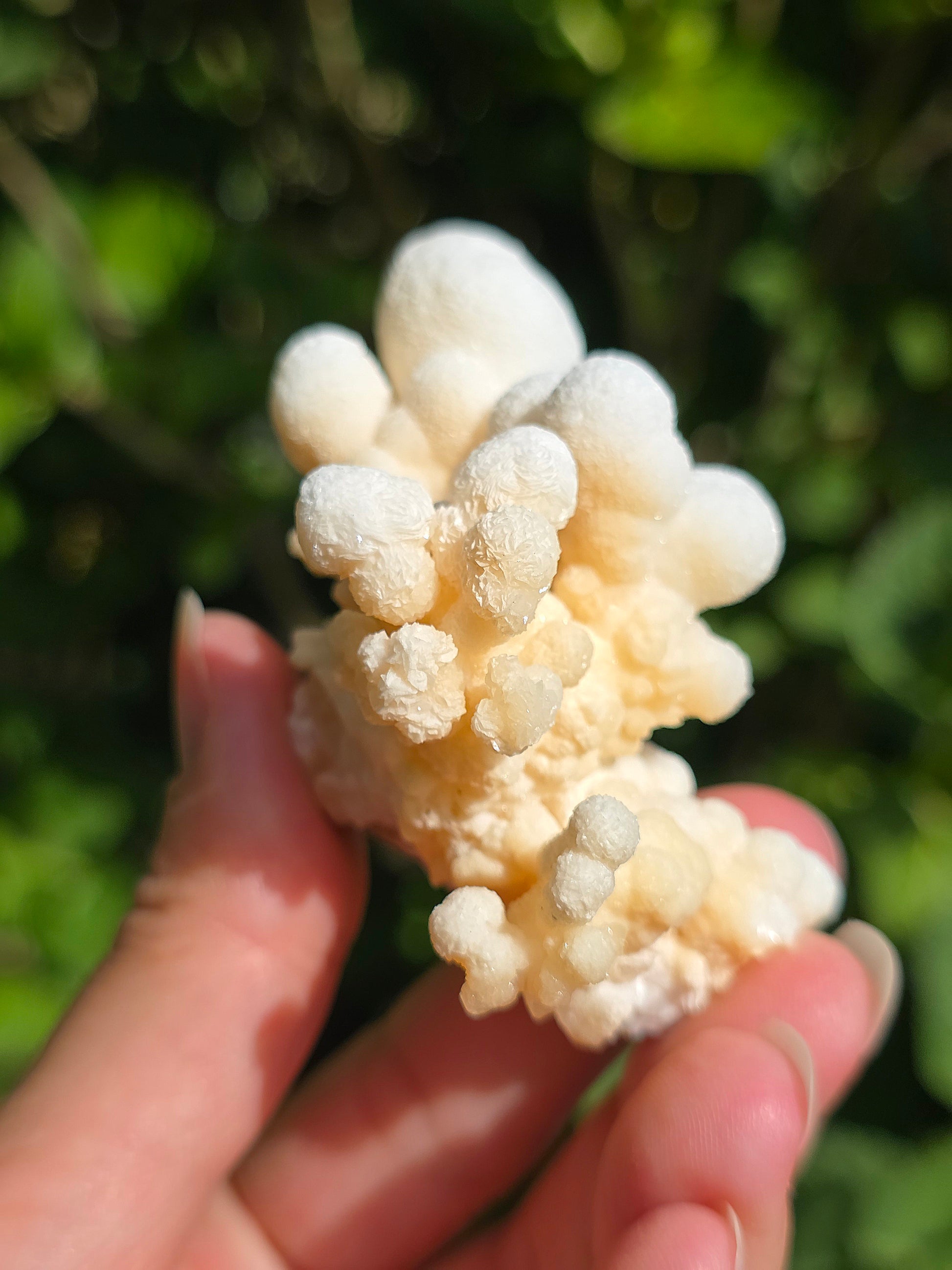 Aragonite botryoïdale cristallisée du Maroc