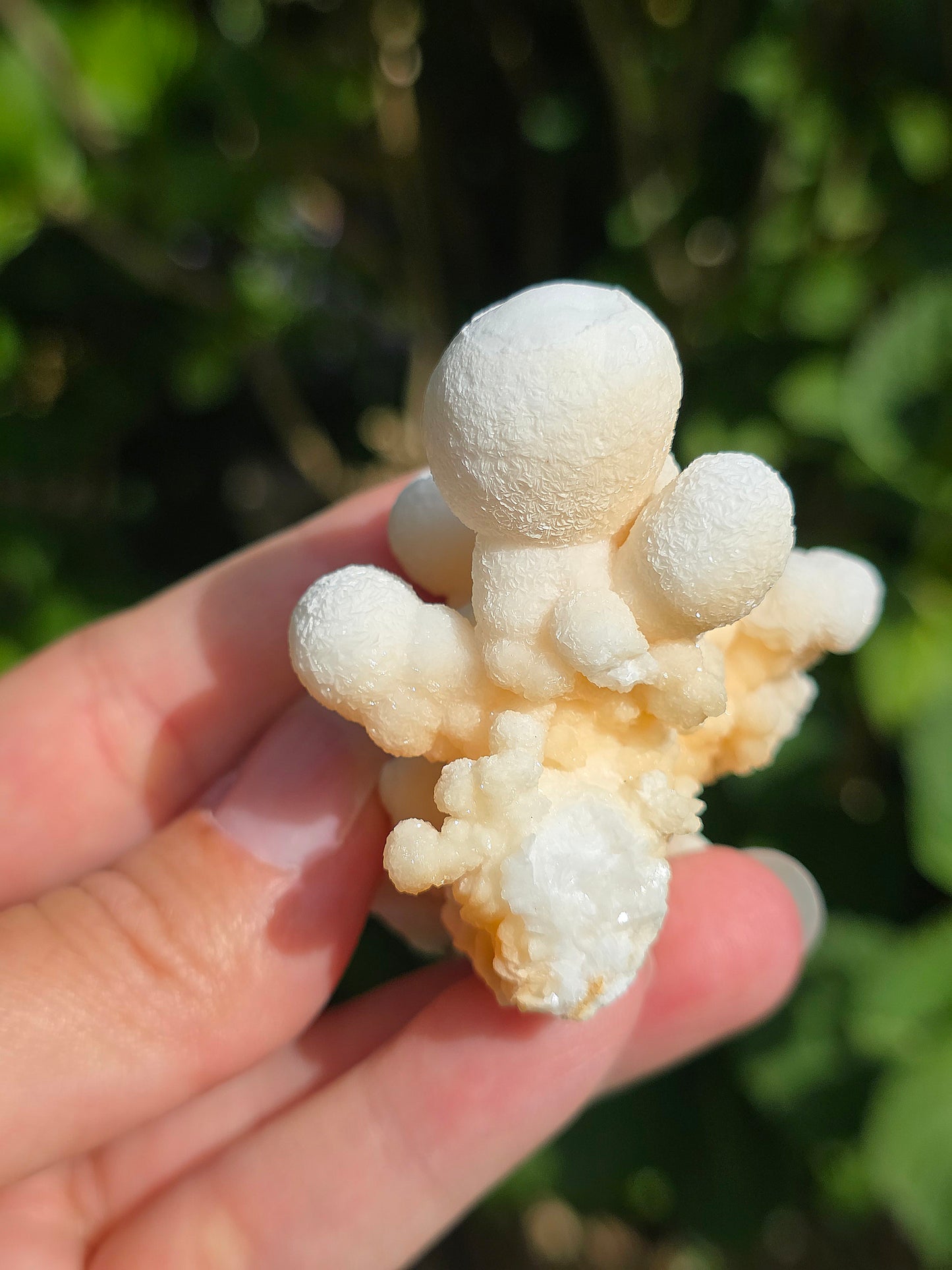 Aragonite botryoïdale cristallisée du Maroc