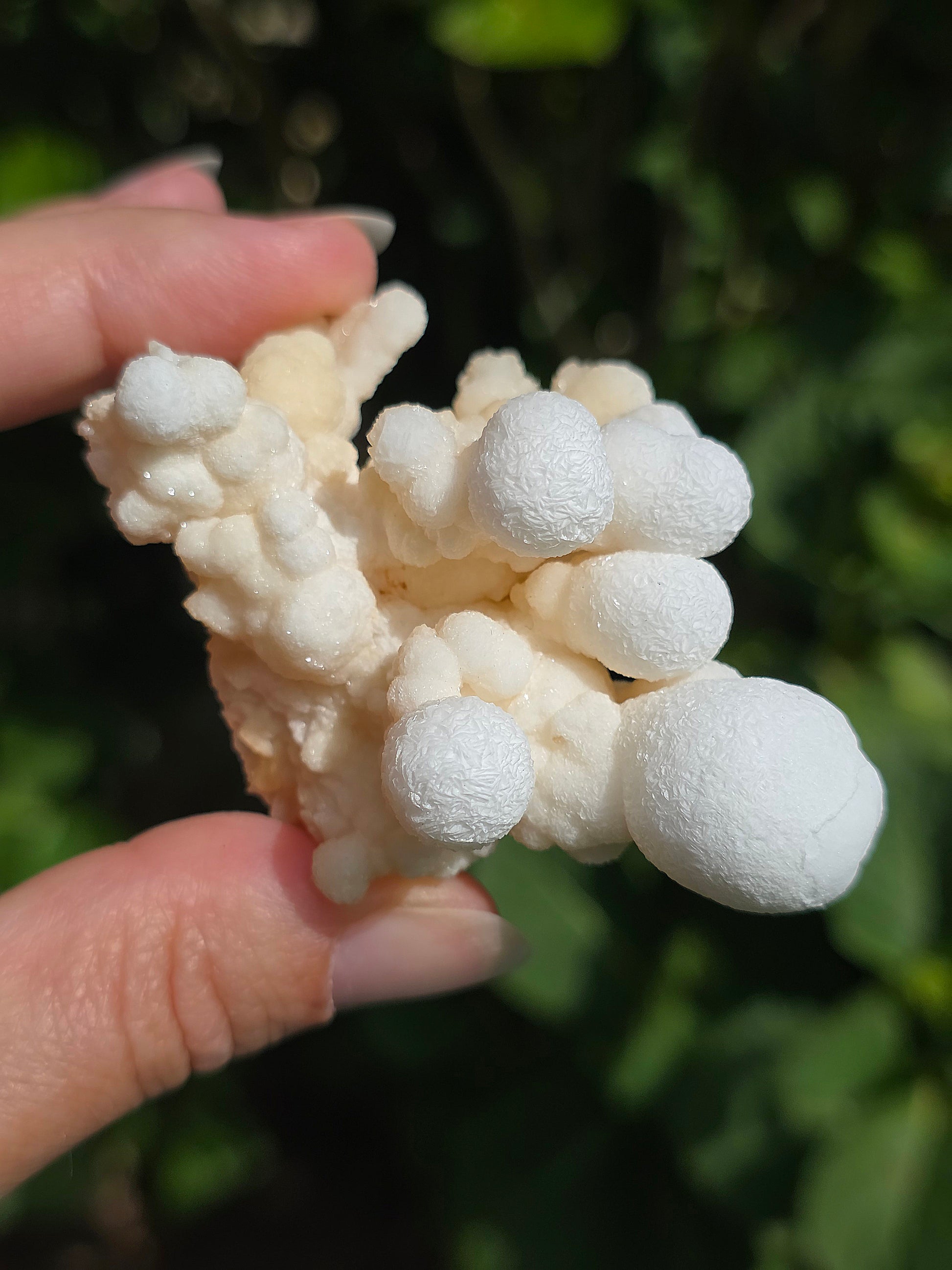 Aragonite botryoïdale cristallisée du Maroc
