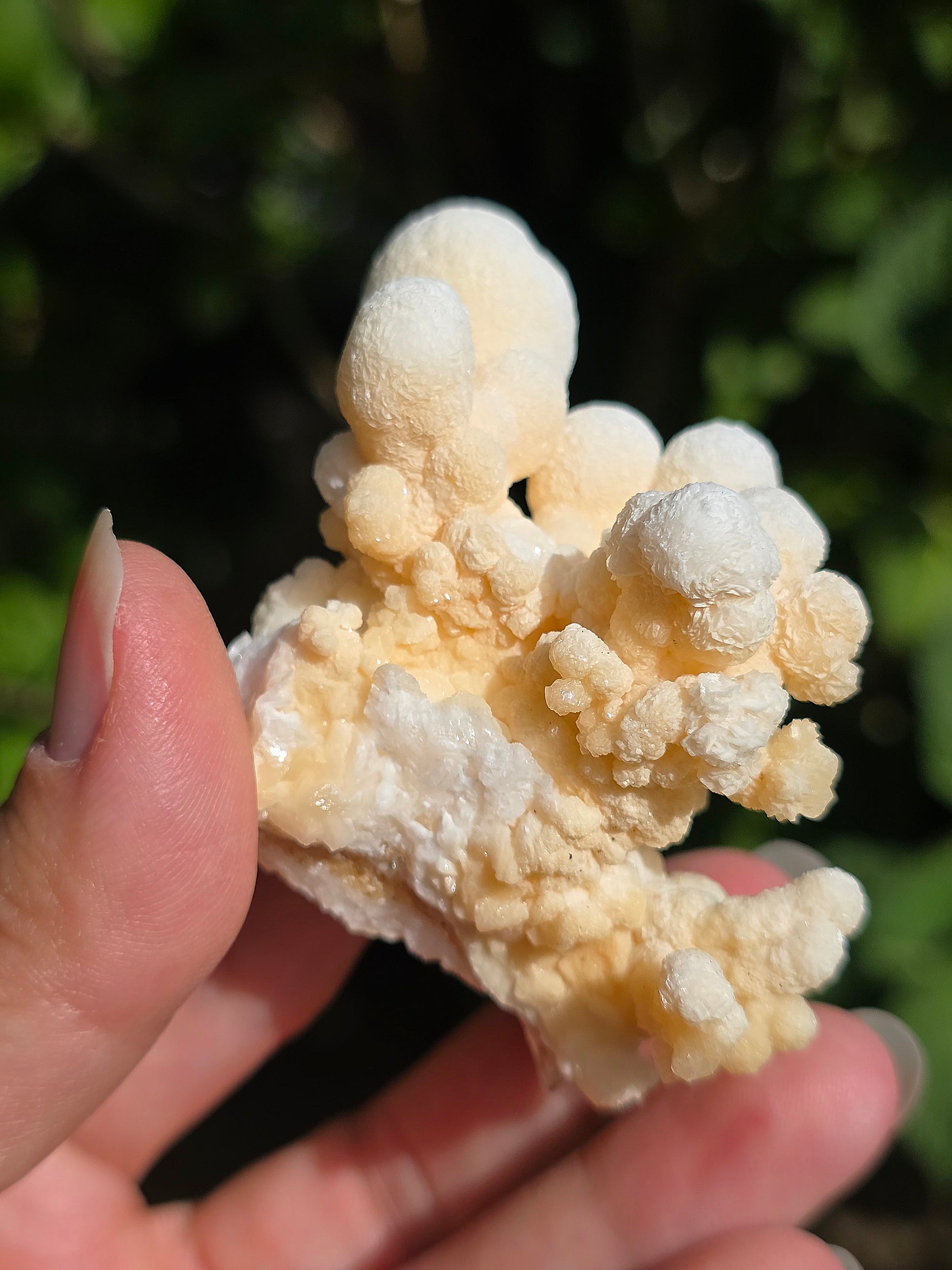 Aragonite botryoïdale cristallisée du Maroc