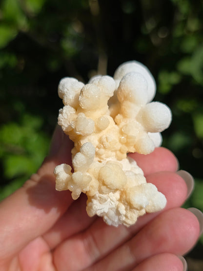 Aragonite botryoïdale cristallisée du Maroc