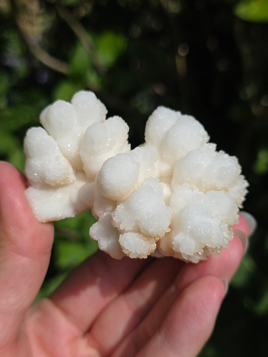 Aragonite botryoïdale cristallisée du Maroc