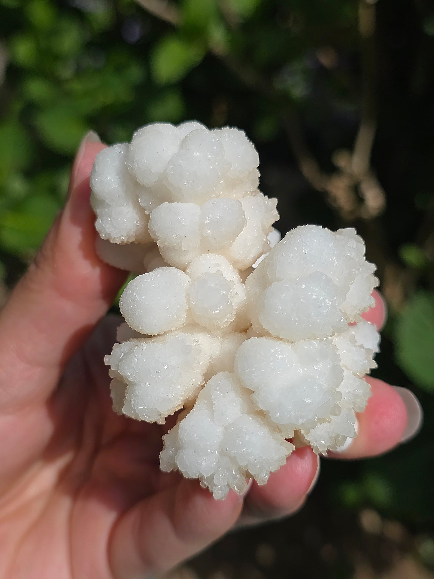 Aragonite botryoïdale cristallisée du Maroc