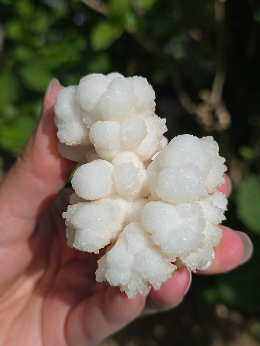 Aragonite botryoïdale cristallisée du Maroc