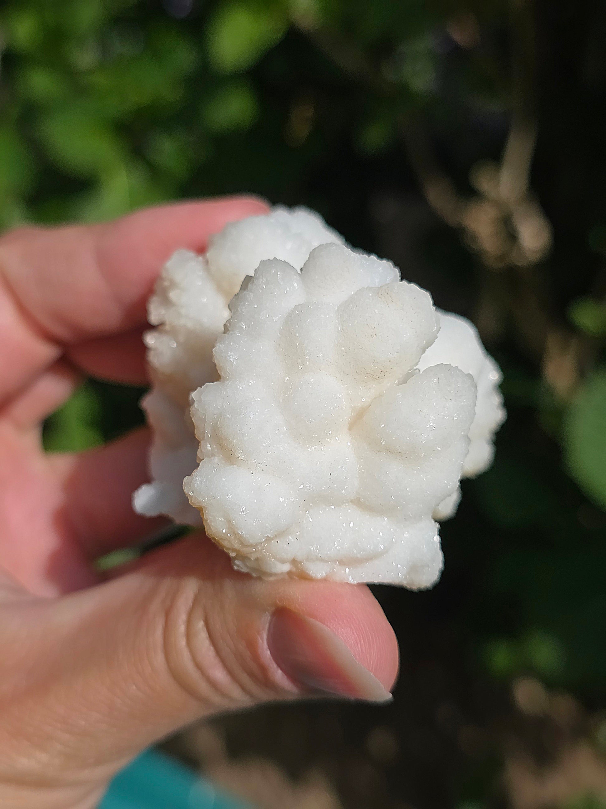 Aragonite botryoïdale cristallisée du Maroc