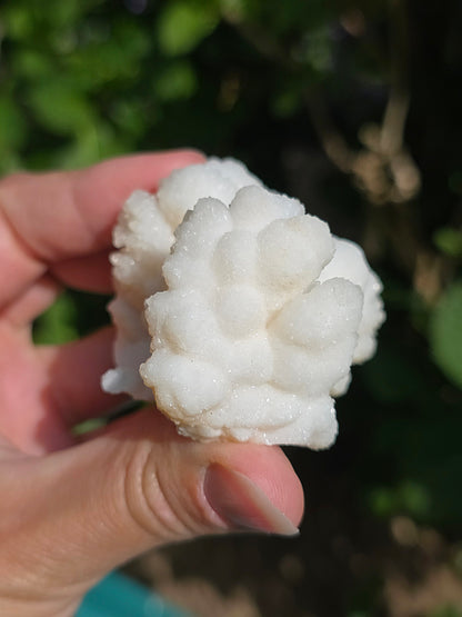Aragonite botryoïdale cristallisée du Maroc