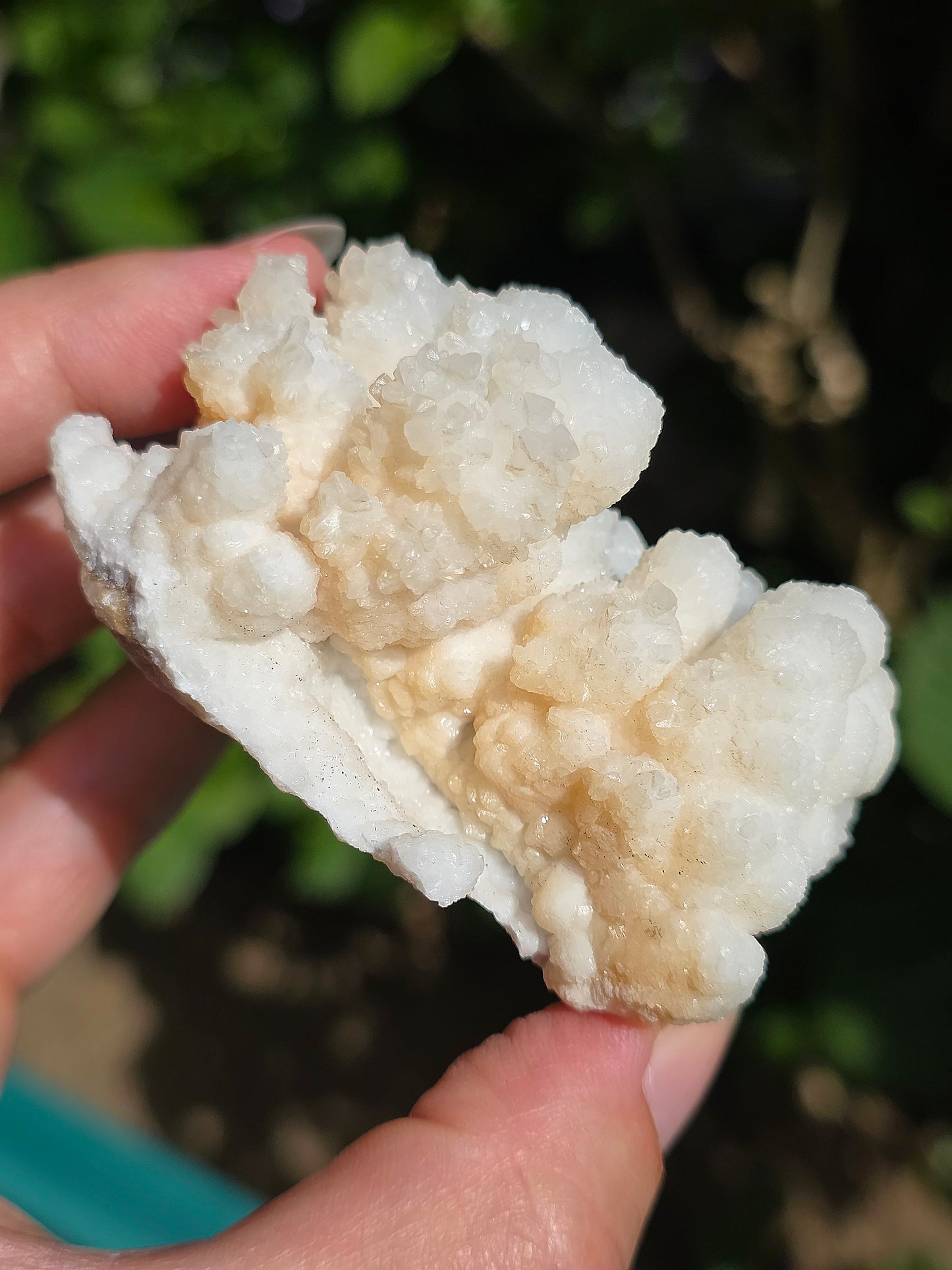 Aragonite botryoïdale cristallisée du Maroc