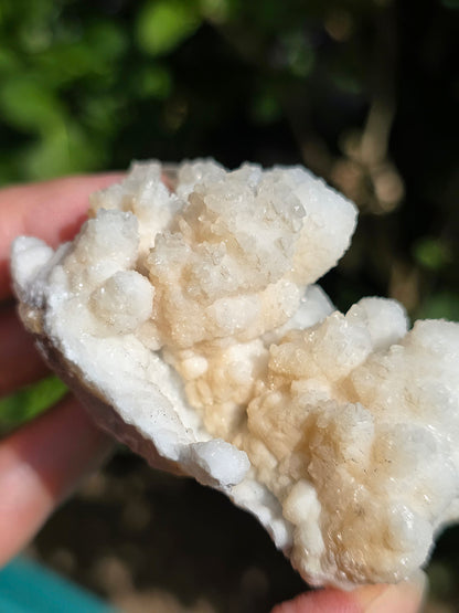 Aragonite botryoïdale cristallisée du Maroc