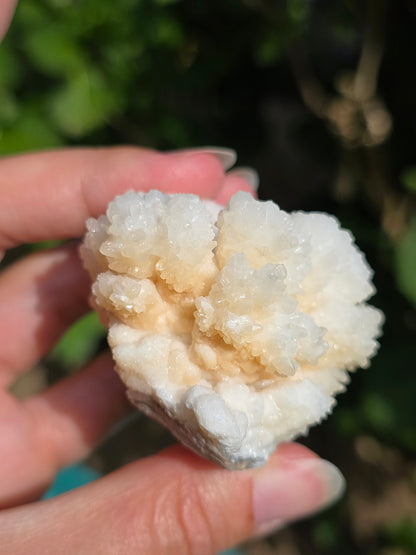 Aragonite botryoïdale cristallisée du Maroc