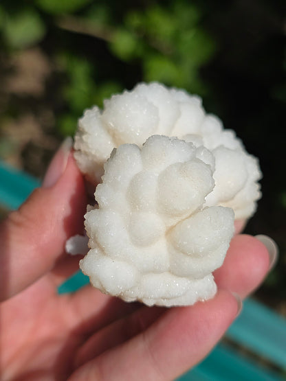 Aragonite botryoïdale cristallisée du Maroc