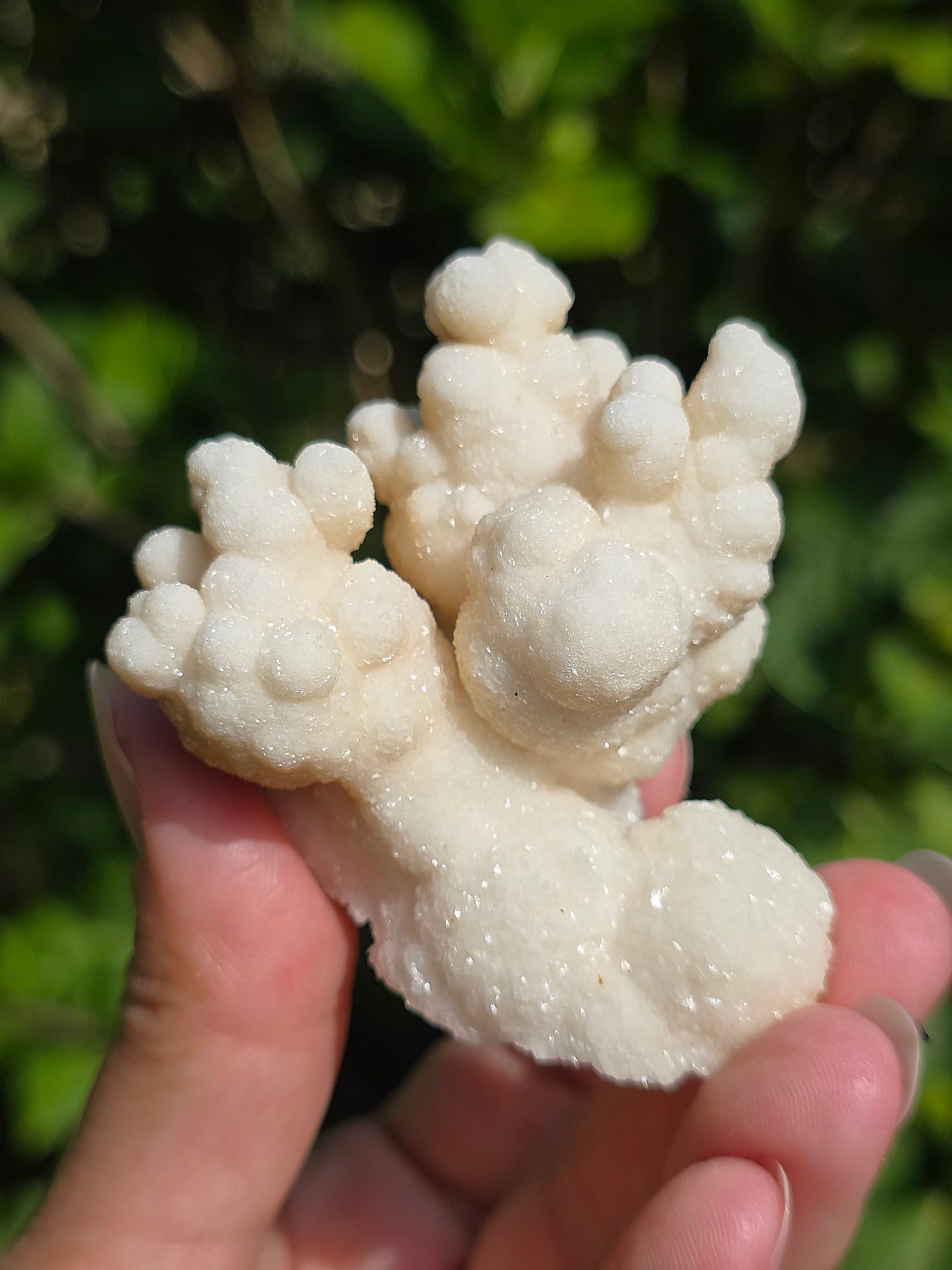 Aragonite botryoïdale cristallisée du Maroc